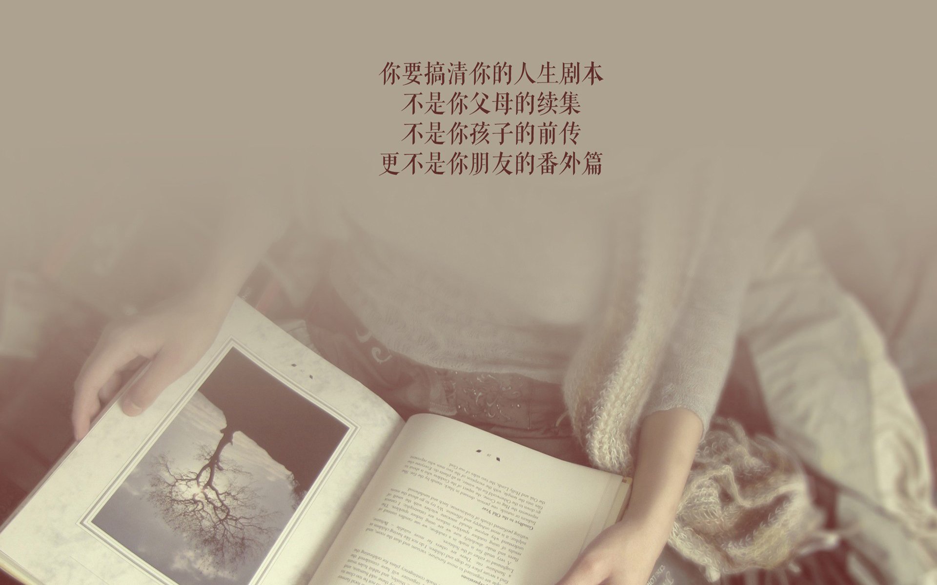 _世界各地网球热，城市成为体育新坐标_，世界各国网球排名