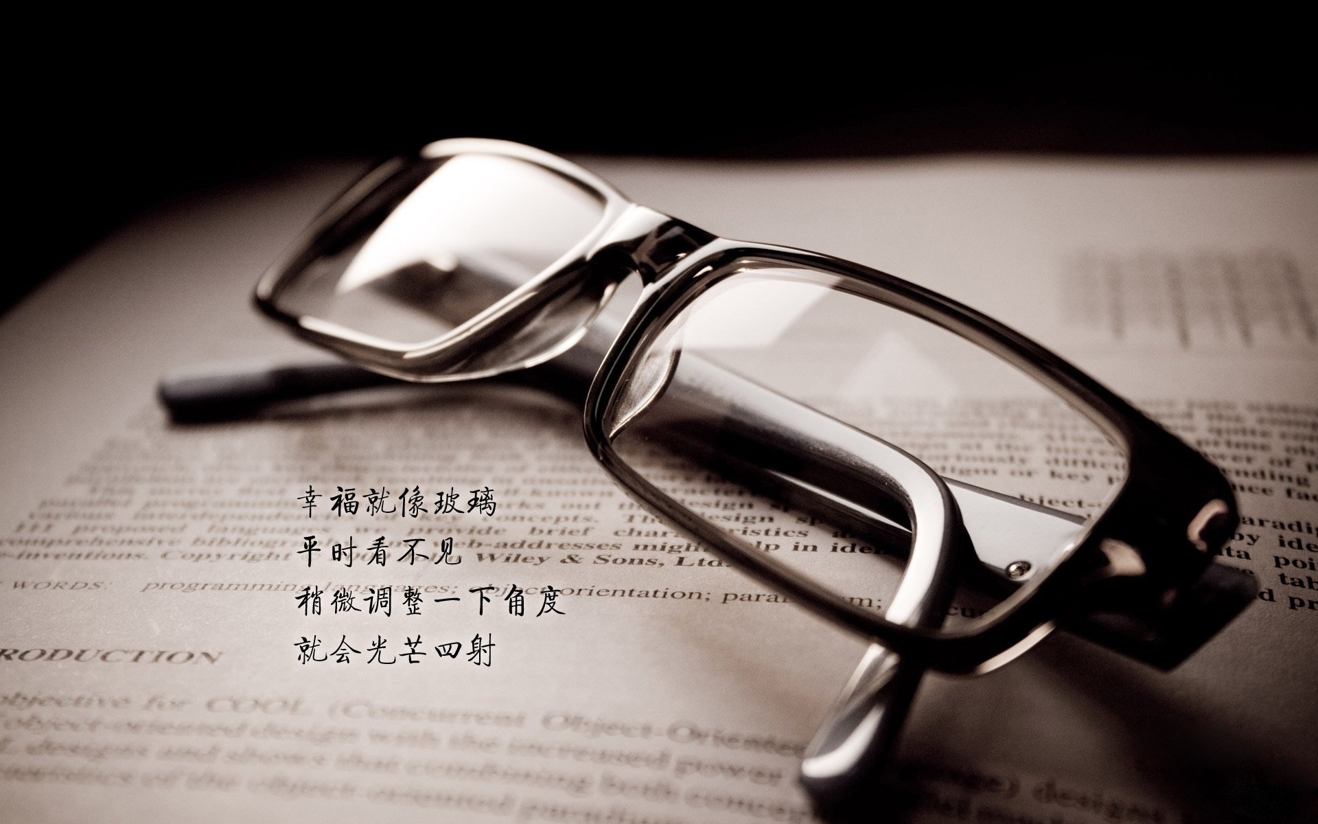 _奇才核心抢镜，带队冲击季后赛_，奇才主力队员
