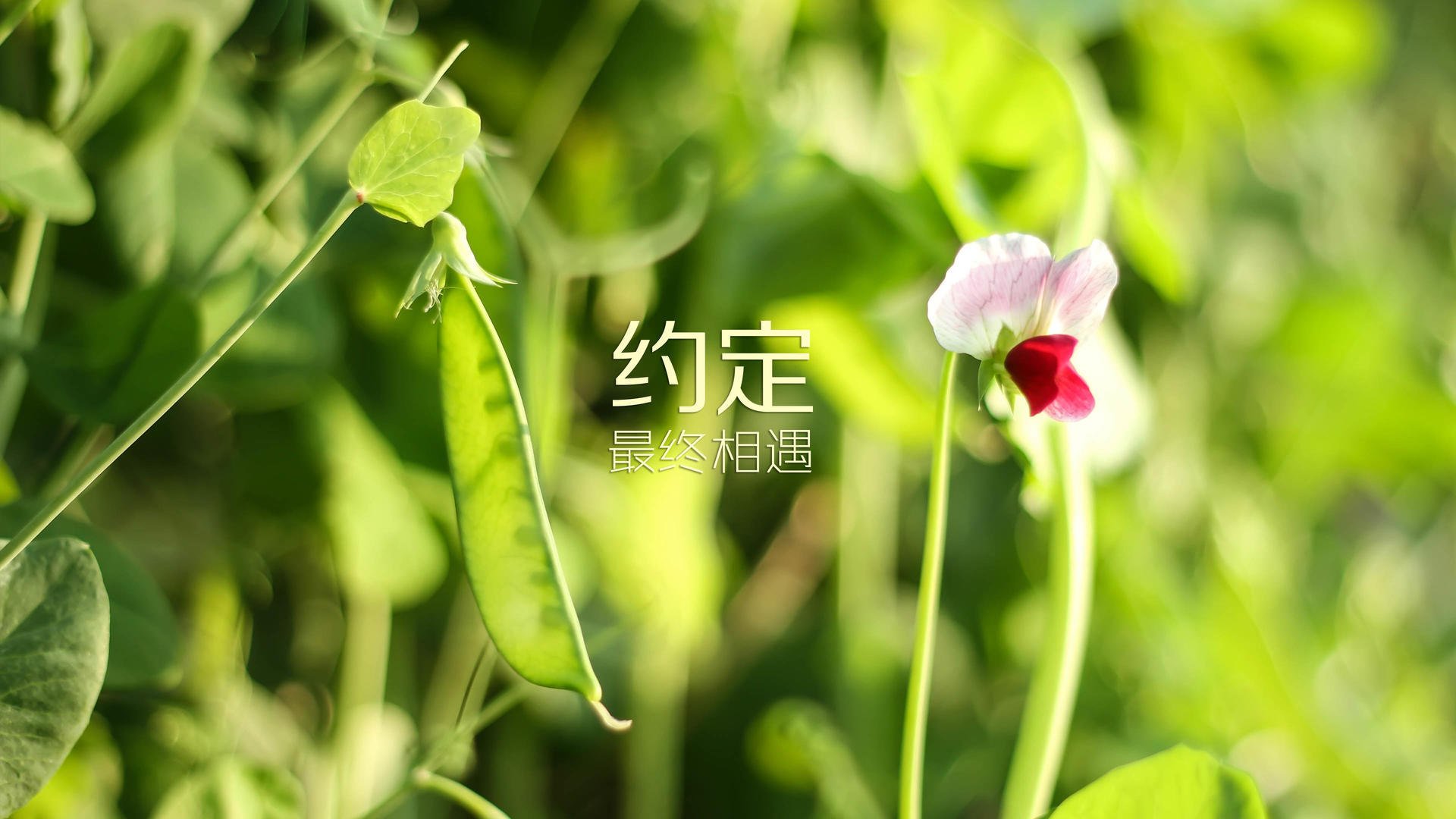 【运动员成长】从青训营走向世界冠军的蜕变，青训选手有工资吗