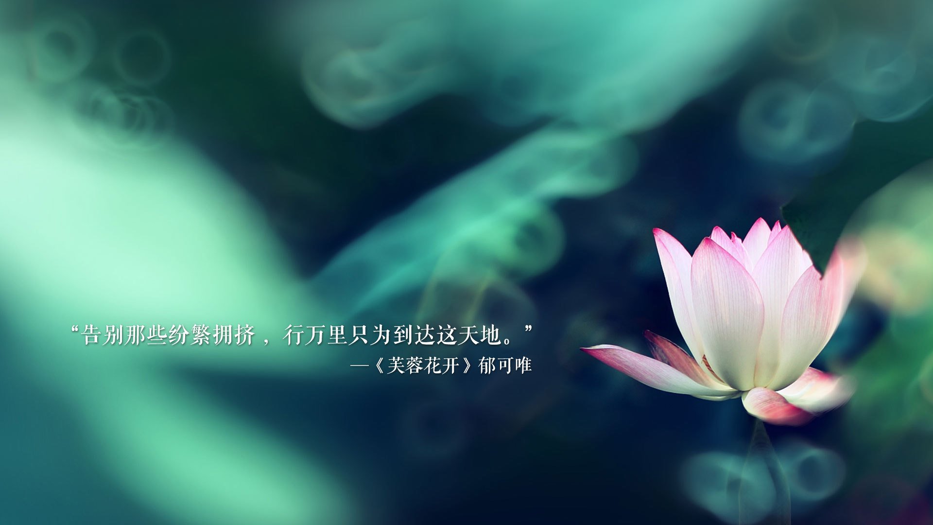 青训内训体系全面启用，打造高素质人才培养新机制，青训训练营是什么