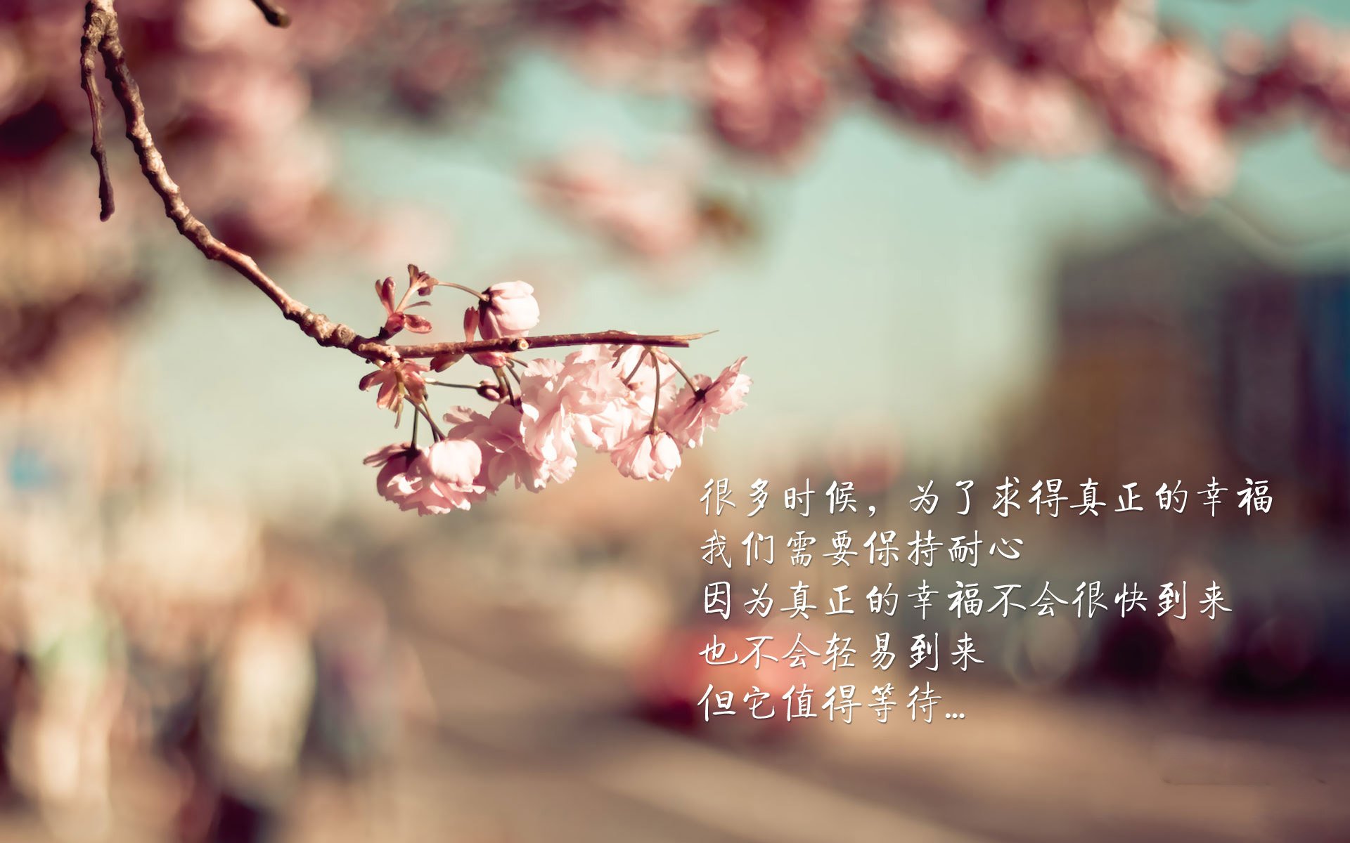 西甲豪门内部风波曝光，西甲的豪门