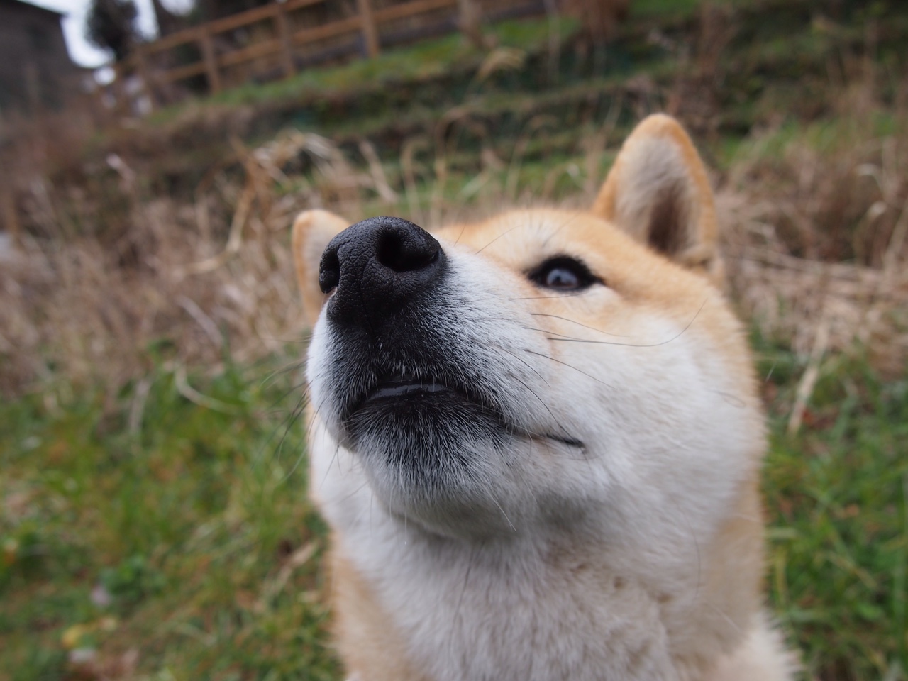 西甲豪门内部风波曝光，西甲的豪门